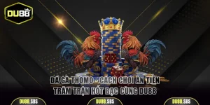 Đá gà Thomo
